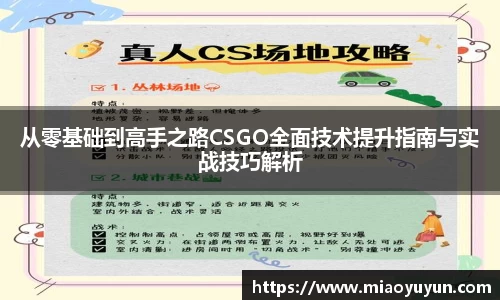 333体育app登录入口