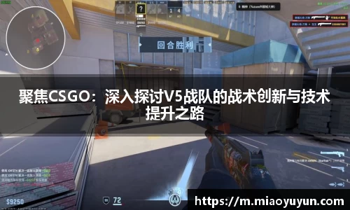 333体育官网