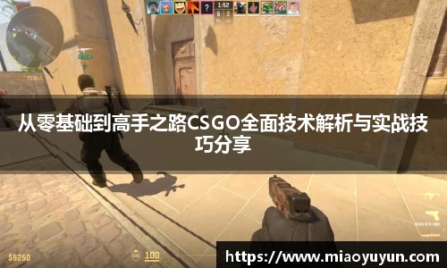 333体育