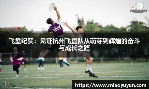 333体育官网