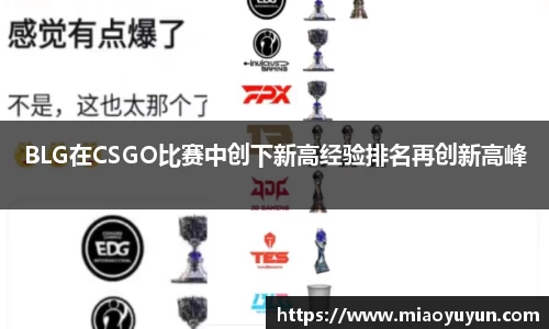 333体育app登录入口