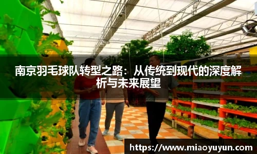 南京羽毛球队转型之路：从传统到现代的深度解析与未来展望